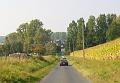 De namiddagrit verkennen we het Pajottenland en de Vlaamse Ardennen, met de Hellingen en Kasseistroken uit de Ronde van Vlaanderen (22)
